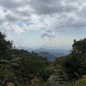 0a71af9b c27a 46bf 91ae 8439ccaa16a1