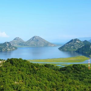 andy arbeit ay1jqcugegc unsplash