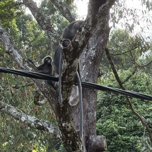 fb1ec026 cf23 4a72 8d39 ea89d070602c